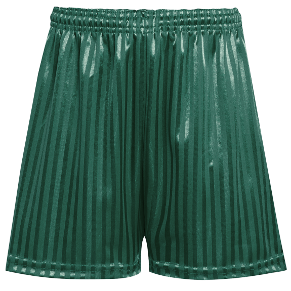 School P.E. Shorts